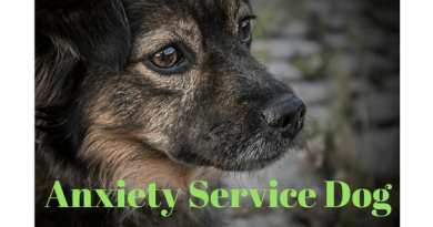 anxiety service dog